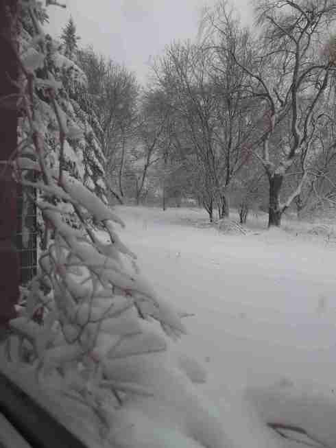 View from my sewing room