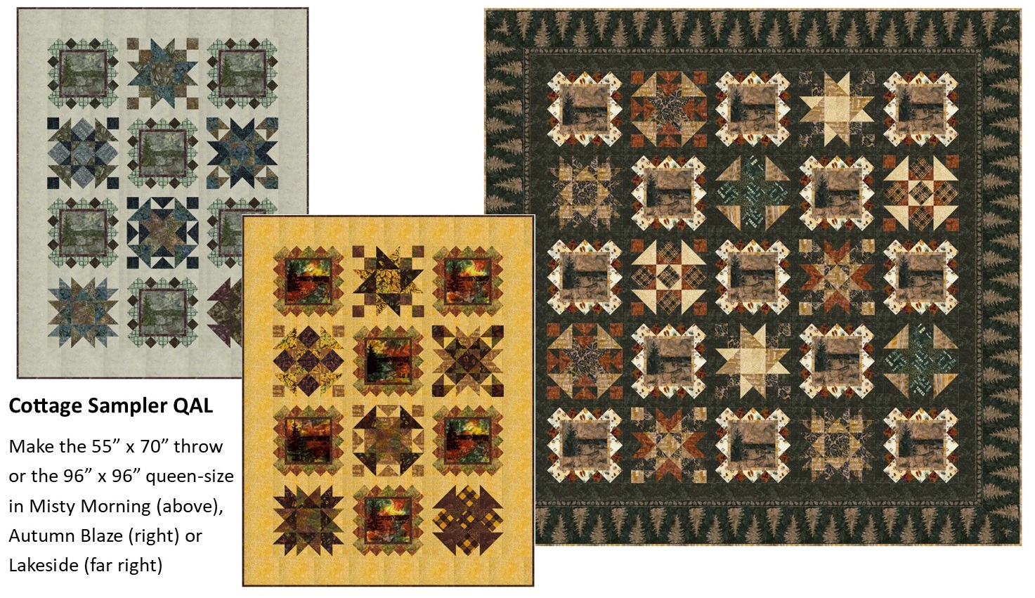 Sign up for the quilt-along at Patti's Patchwork