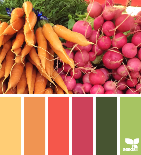 This month's chosen color palette from the Seeds website