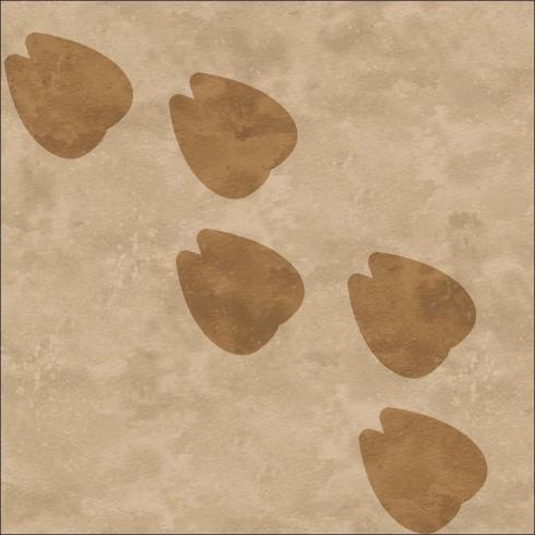 Patti Carey - Sand in my Toes