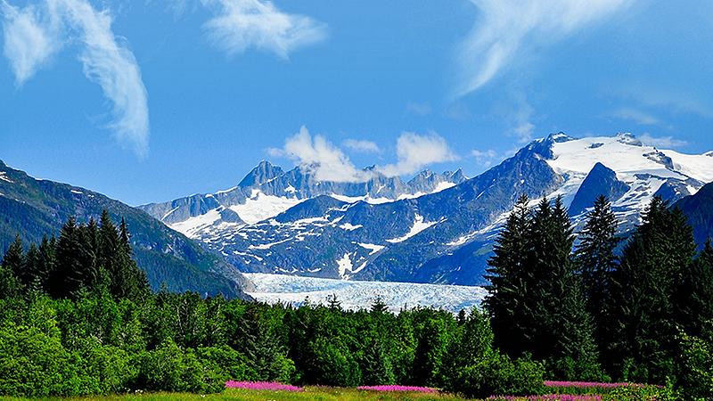 juneau-alaska-pink-flowers-nature-mountains-green-blue-skies